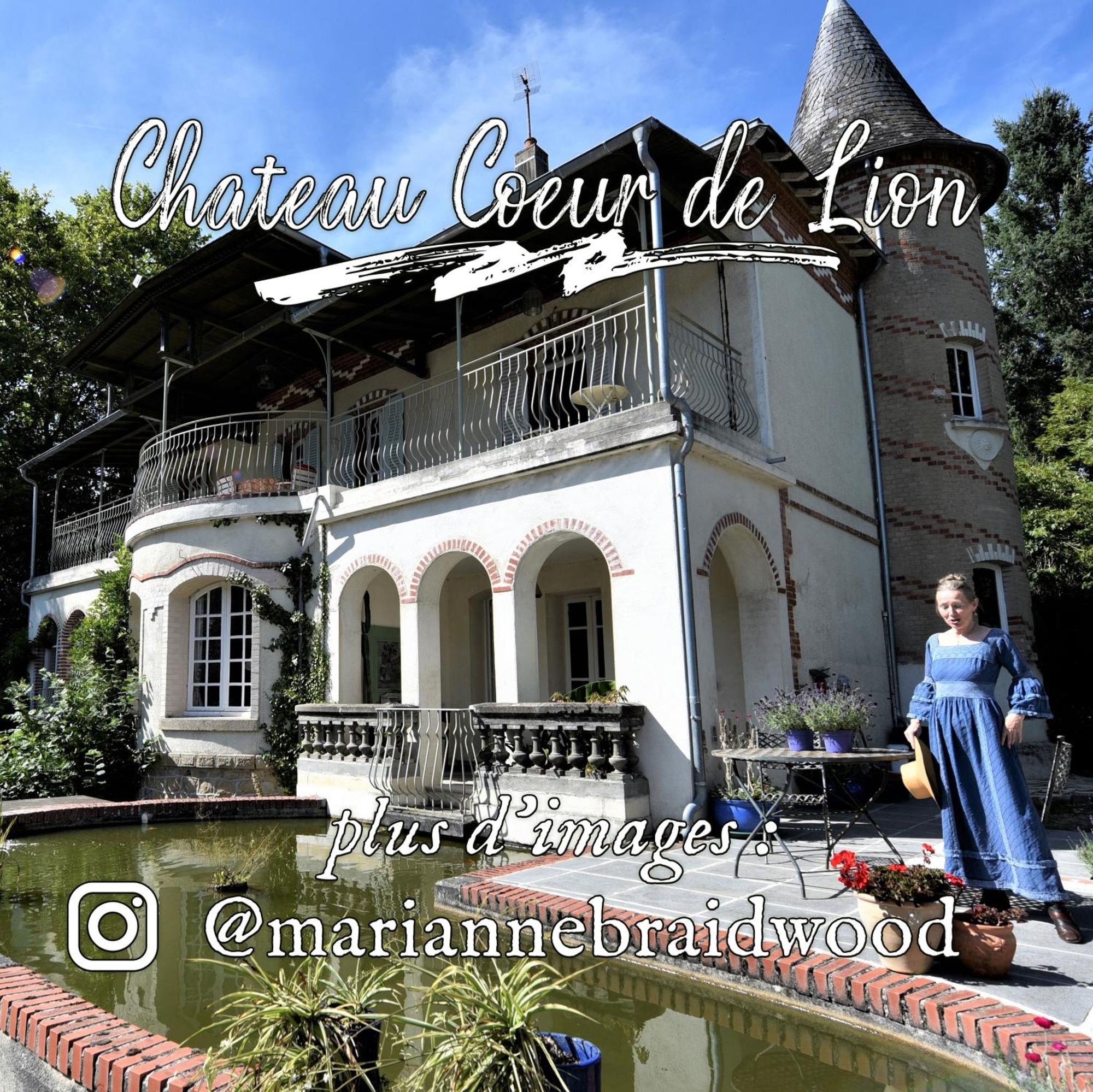 Chateau Coeur De Lion Châteauponsac エクステリア 写真