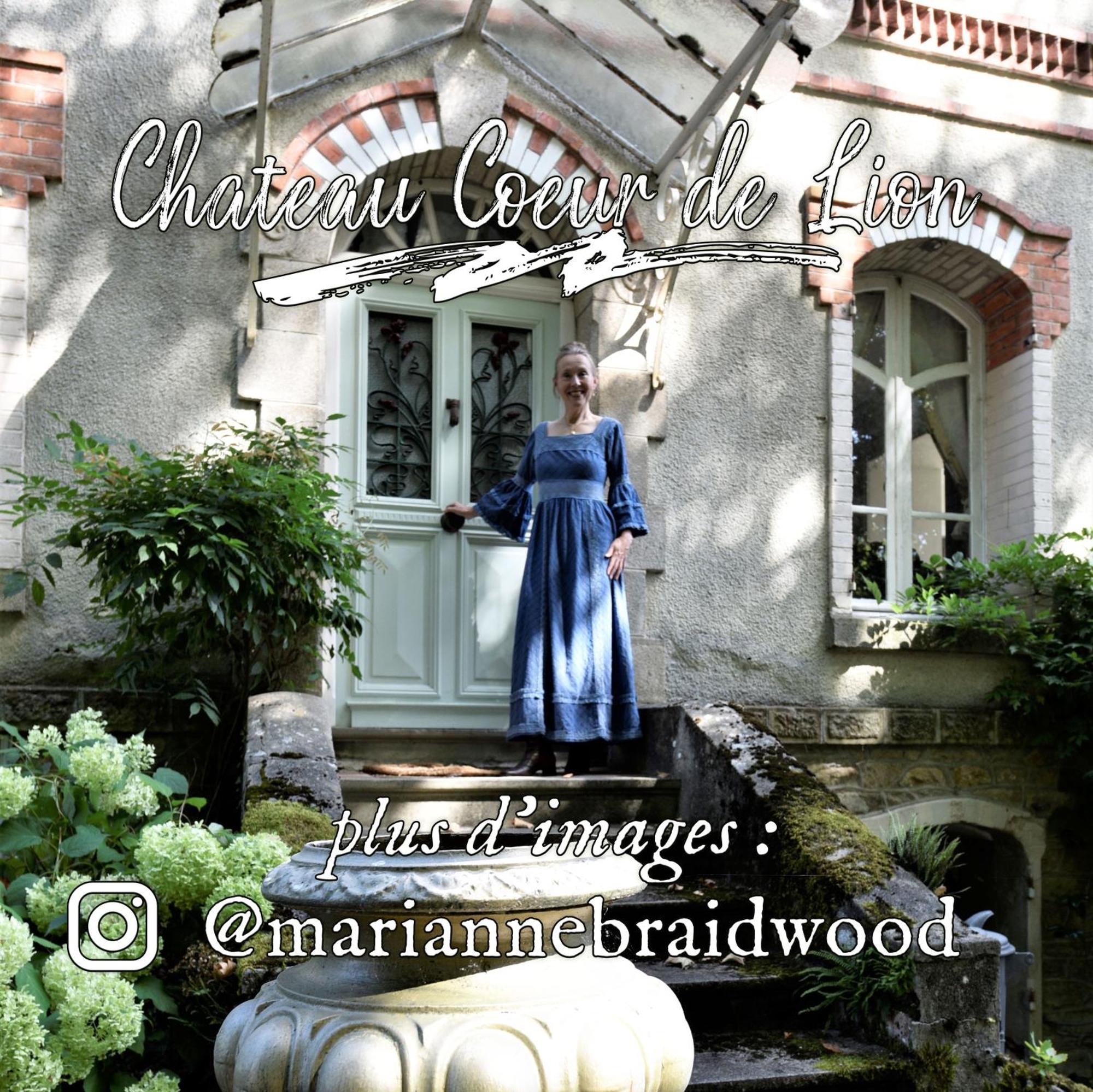 Chateau Coeur De Lion Châteauponsac エクステリア 写真